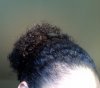 Hairvida puff.jpg