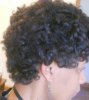 CurlsSepRt(572x640).jpg