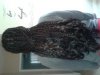 ForumRunner_20140422_233554.jpg
