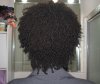 Curl Prep Sweeth Buttah - day 5 hair - back.jpg