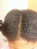 Hairtype4.jpg